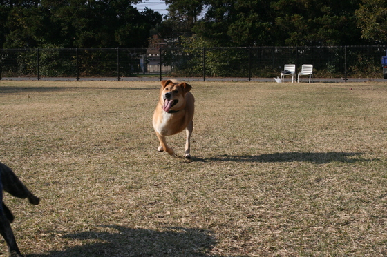 ランでRUNを楽しむ!(空海)_f0242002_0274659.jpg