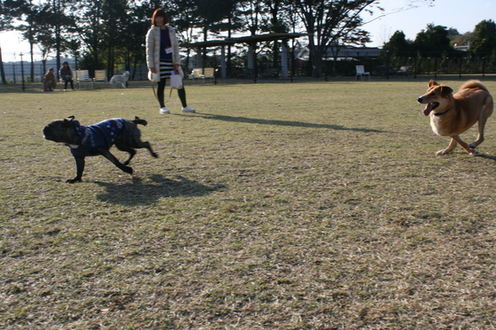 ランでRUNを楽しむ!(空海)_f0242002_027988.jpg