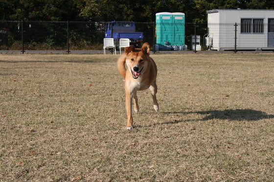 ランでRUNを楽しむ!(空海)_f0242002_075142.jpg