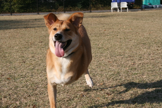 ランでRUNを楽しむ!(空海)_f0242002_081876.jpg