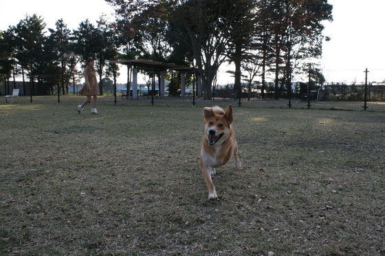 ランでRUNを楽しむ!(空海)_f0242002_094728.jpg