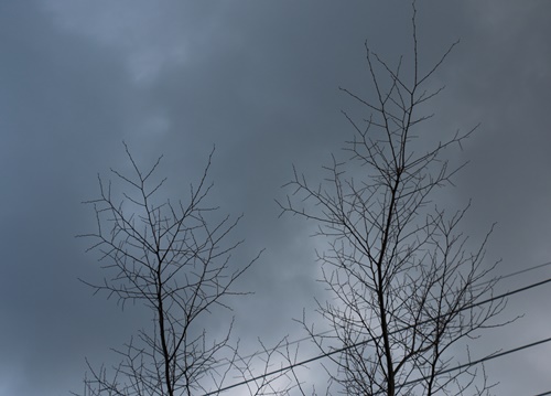 a0123003_18402459.jpg