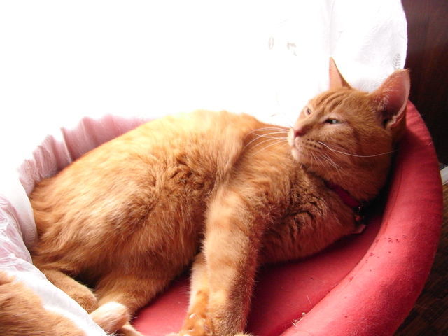 d0131403_2258569.jpg