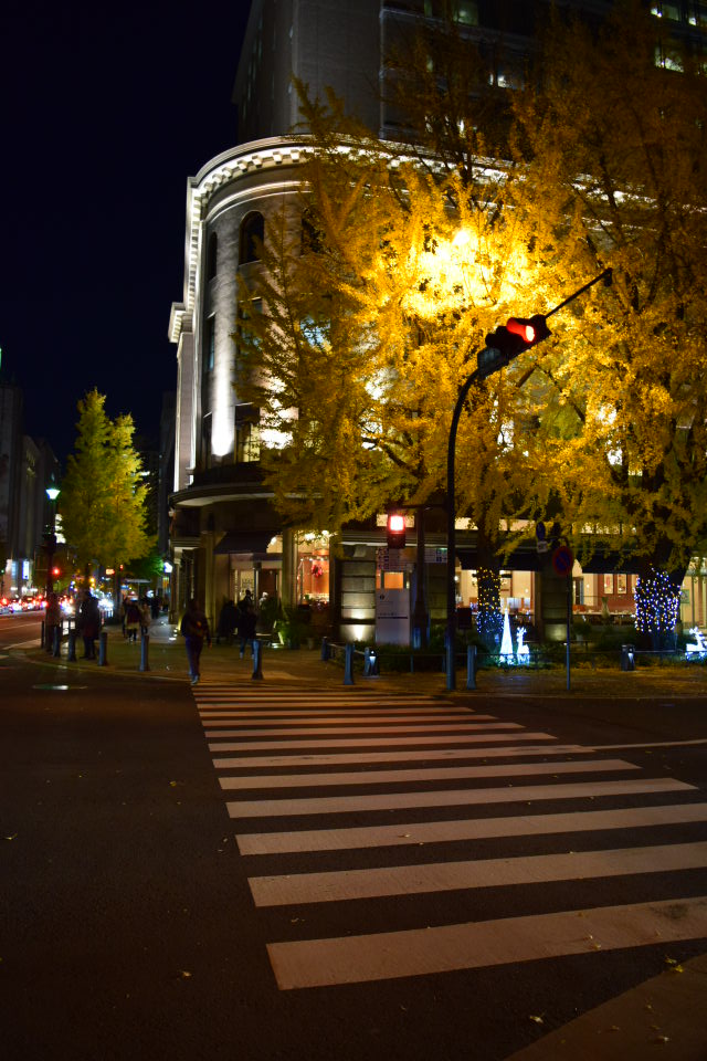 旧横浜商工奨励館(昭和モダン建築探訪)_f0142606_17453114.jpg