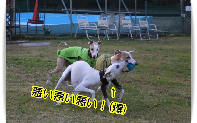 e0100007_15194617.jpg