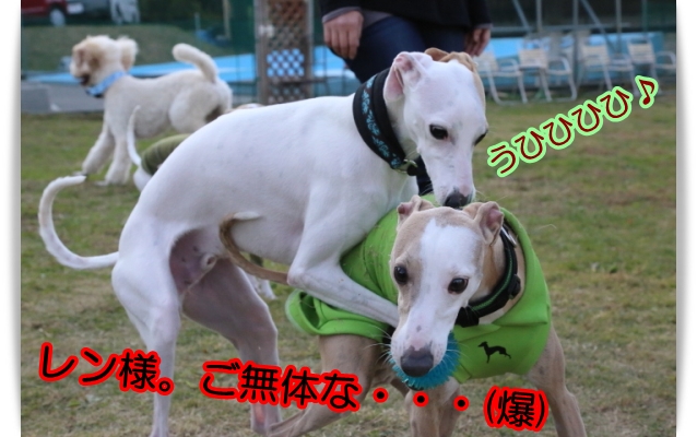 e0100007_1520151.jpg