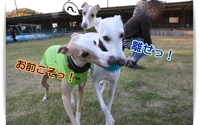 e0100007_15215139.jpg