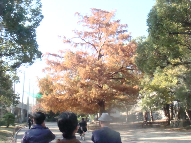 a0019212_2225591.jpg