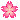 お祝いのお花ありがとうございます_a0327716_17554592.gif