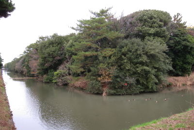 e0133025_13532833.jpg