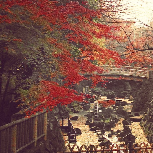 kitaku_a0168628_23554692.jpg