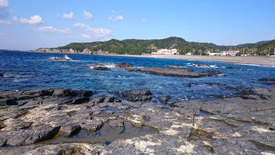 b0164132_1695294.jpg