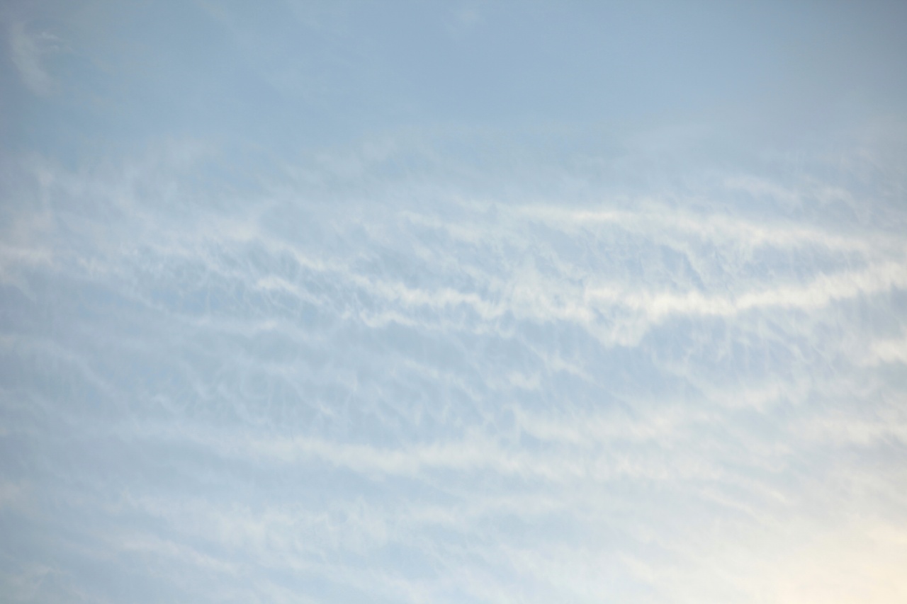 冬 朝の空 Toumei Oak 空の写真集 冬 朝の空 Toumei Oak 空の写真集