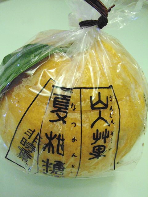 c0186738_2246373.jpg