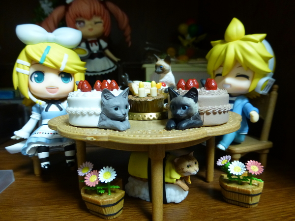 猫ケーキ_d0044239_23184318.jpg