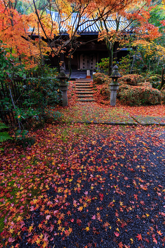 善法律寺・散り紅葉（八幡市）_f0155048_23325538.jpg