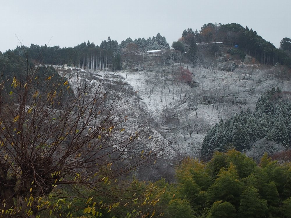 吉野　熊野大峯駈道_b0062950_1724745.jpg