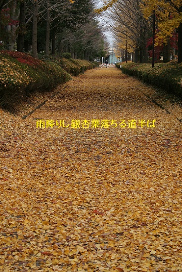 e0126350_23282322.jpg