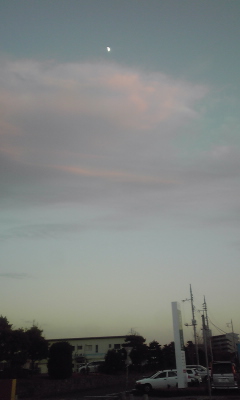 c0079951_91072.jpg