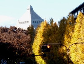告発、受理されました_f0197754_22571446.jpg