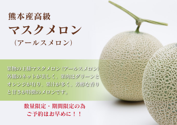 高級マスクメロン「アールスメロン」 本日初出荷！今年も良い