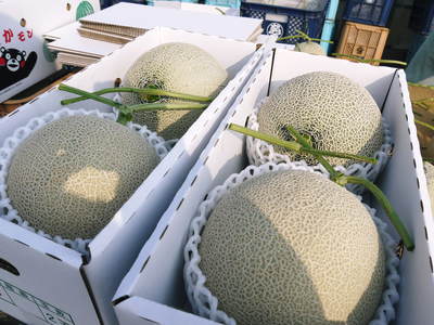 高級マスクメロン「アールスメロン」 本日初出荷!今年も良い仕上がりです!!(後編)_a0254656_19152543.jpg