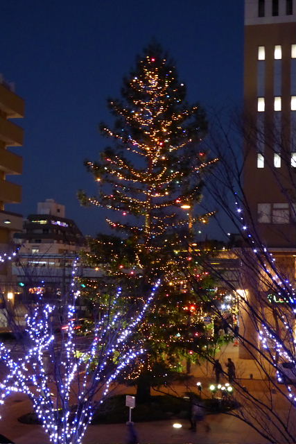 Ｘｍａｓが近づきました。西宮北口の電飾、マンション内のツリー_a0030958_2320487.jpg