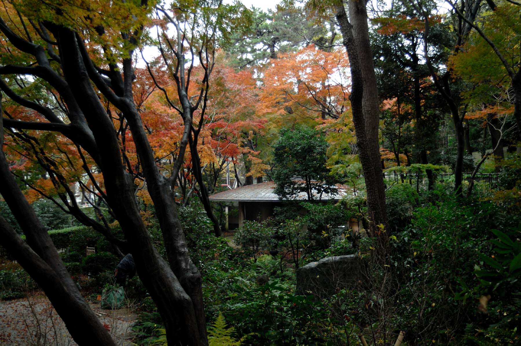 d0266559_57031.jpg