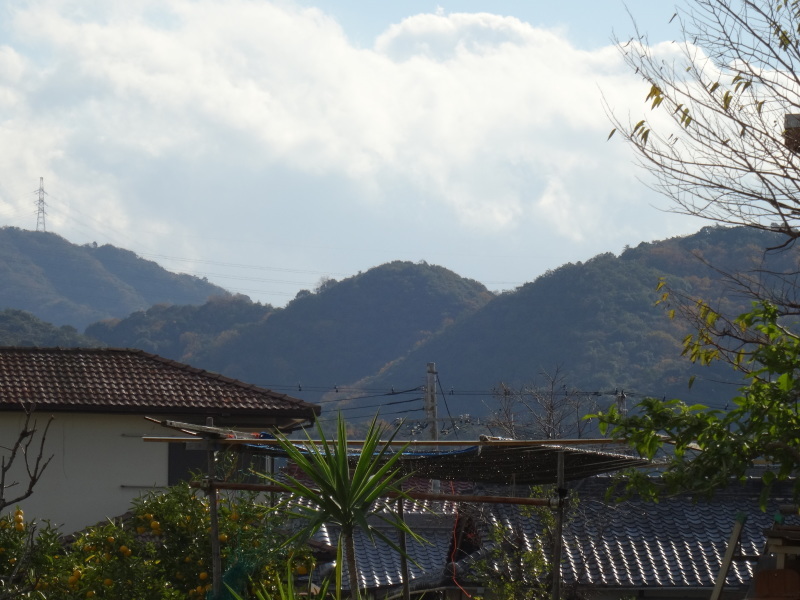 c0108460_16430929.jpg