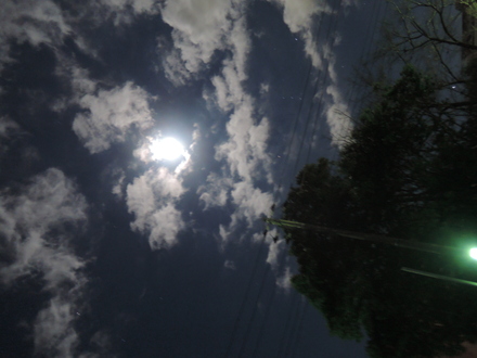 b0250765_1722879.jpg