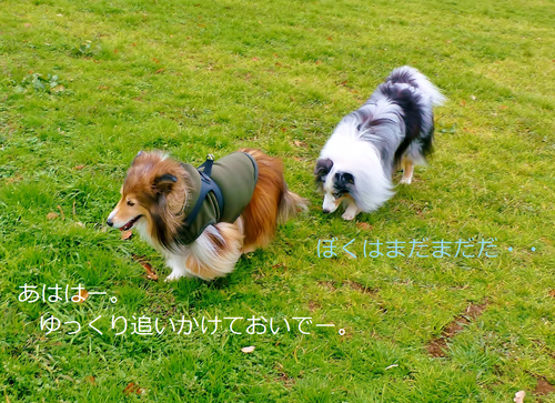 a0157174_10502577.png