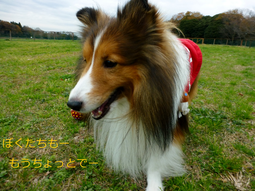 a0157174_12161.png