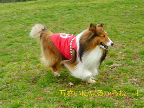 a0157174_1224960.png
