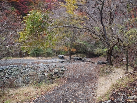 c0318376_00323206.jpg