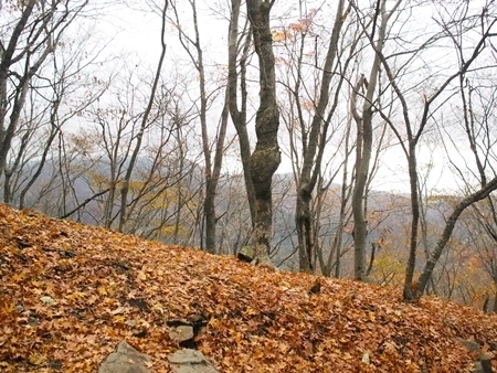 c0318376_00324023.jpg