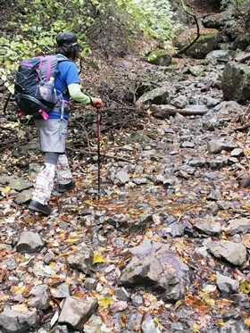 c0318376_00325788.jpg