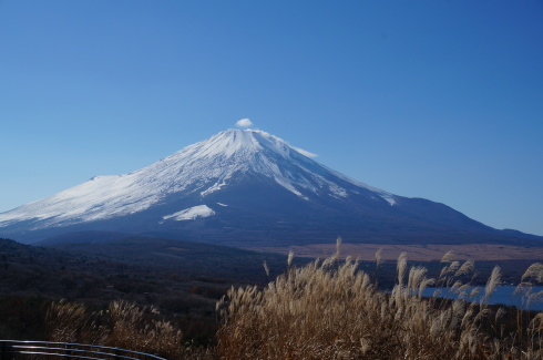 お供３頭一人旅（山中湖）_f0051481_18540672.jpg