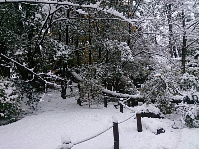 今夜は新大オケさん。それにしてもまたまた雪の週末。_e0046190_17495667.jpg