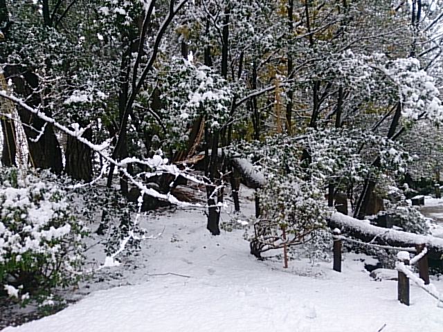 e0046190_17503695.jpg