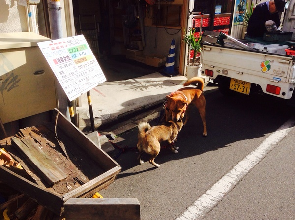 今年もめでたく無事終了！_b0118191_22405977.jpg