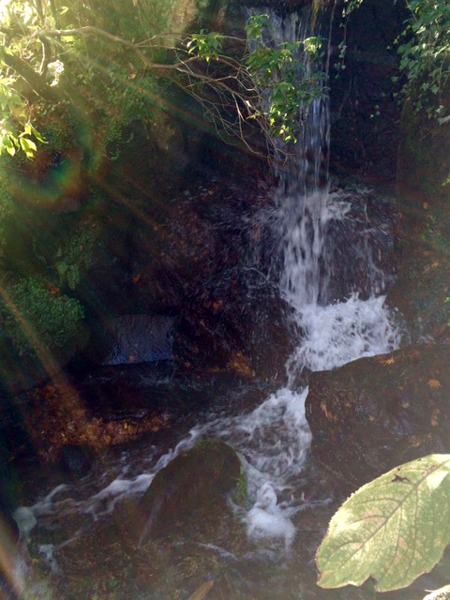 f0001895_16592259.jpg