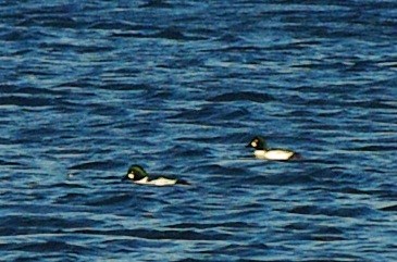 b0028598_190149.jpg