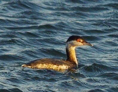 b0028598_1910196.jpg