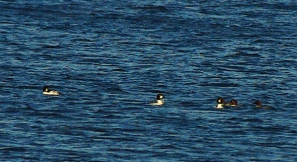 b0028598_198142.jpg