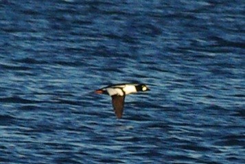 b0028598_1985154.jpg