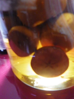 c0280206_8242548.jpg