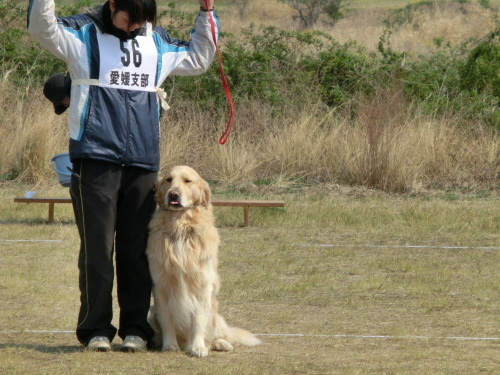 四万十での競技会の筈でした_b0190908_21525288.jpg