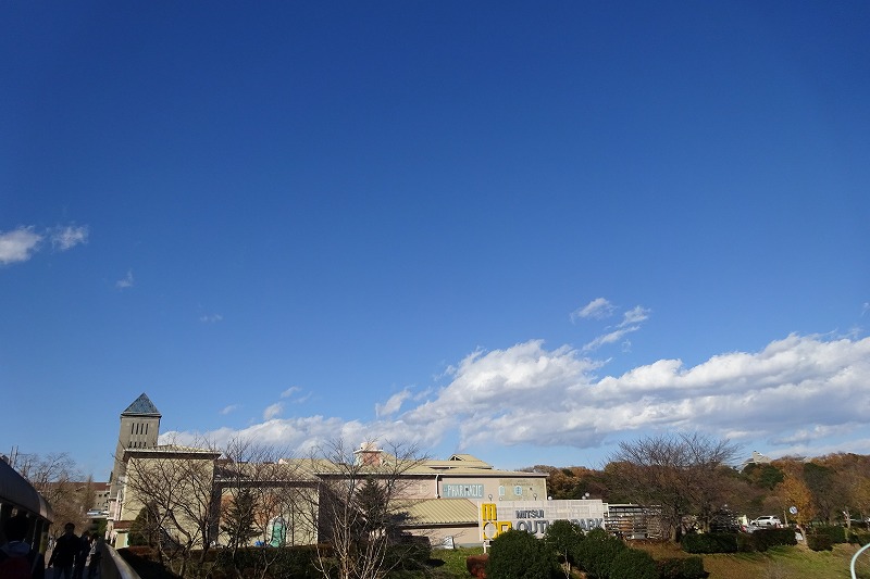 a0122932_12161040.jpg