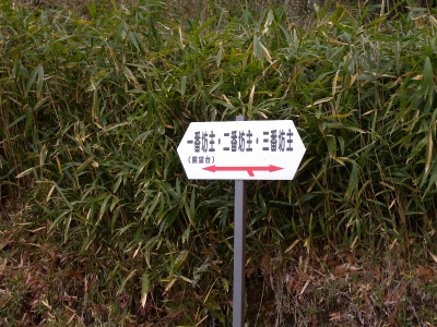 e0272335_2128459.jpg