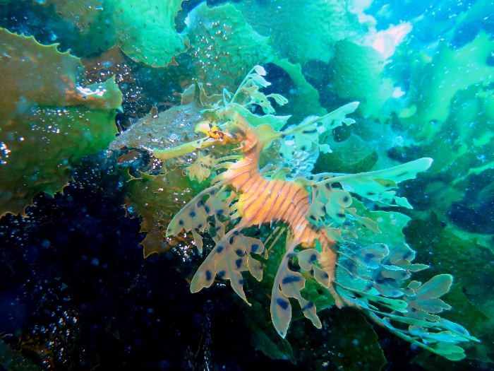 a0150039_10170.jpg